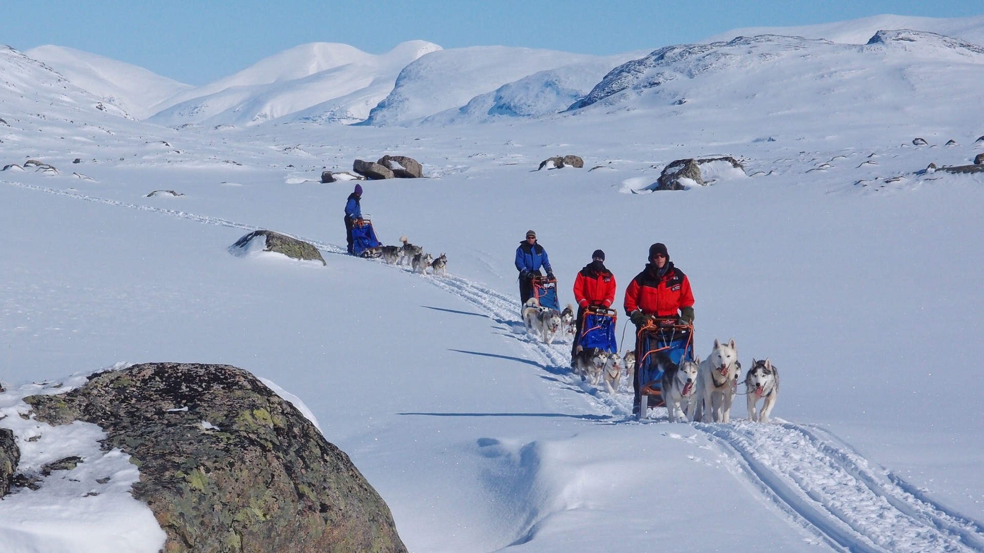 Die Gruppe ist unterwegs